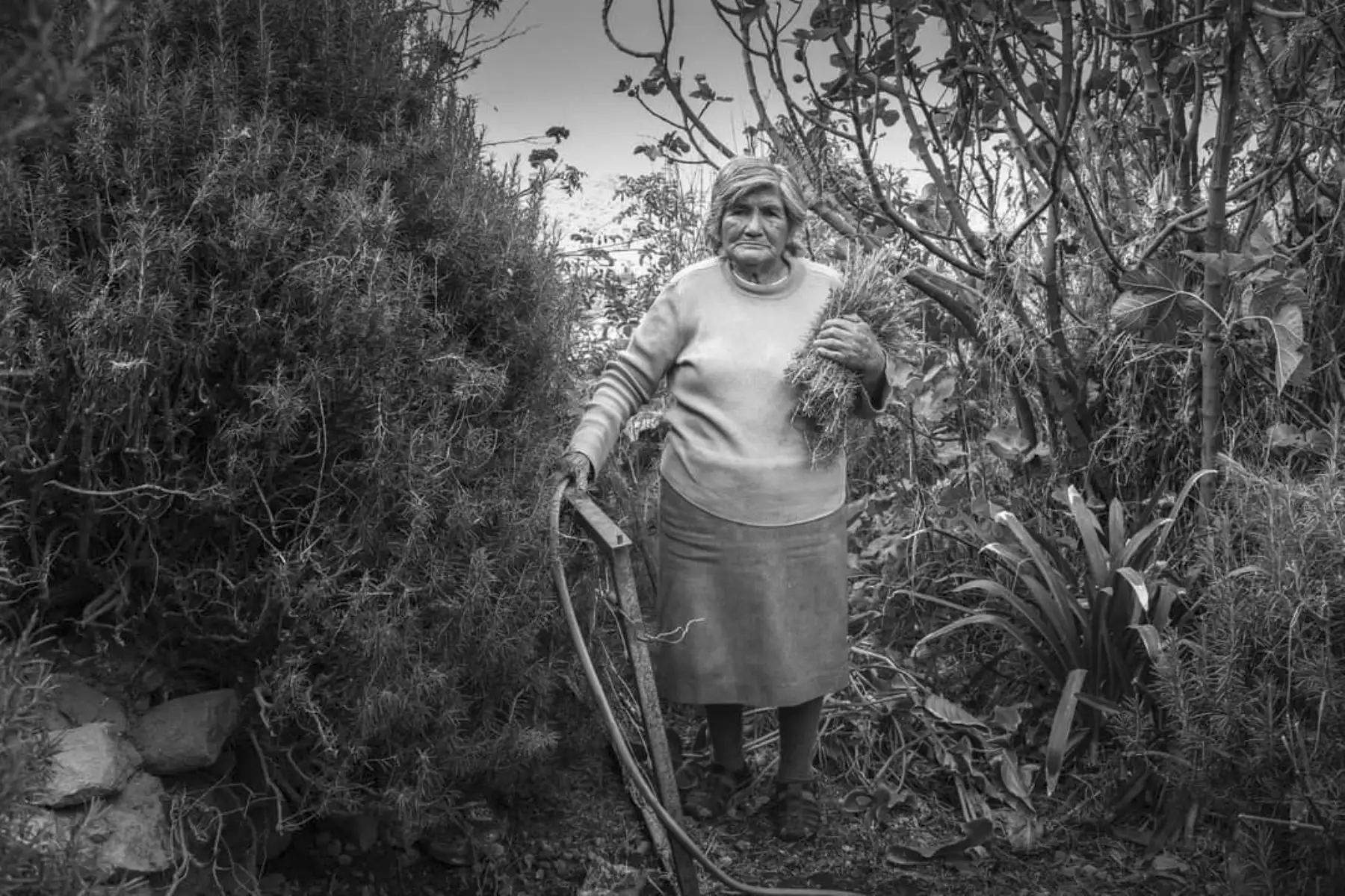 Brigitte Jacqueline Colque Zegarra, también de Arequipa, obtuvo el segundo lugar del certamen con su fotografía titulada “Una alternativa de vida sin excusas”, tomada en el distrito arequipeño de Sabandía. “La foto es un homenaje a mi abuela Fidela Pino, que dedicó su vida entera a cuidar a sus tres hijos sola, vendiendo flores y plantas de su huerta en el mercado”.