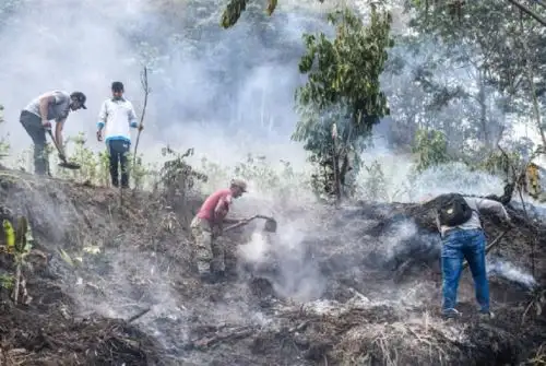 El Instituto Nacional de Defensa Civil (Indeci) informó que personal de la municipalidad distrital, representantes de la Dirección Desconcentrada del Indeci (DDI) en Apurímac y comuneros controlaron el incendio forestal, iniciado la noche del jueves 24 de agosto, en el sector Huayquipa, distrito de Ihuayllo, provincia de Aymaraes. ANDINA/Difusión
