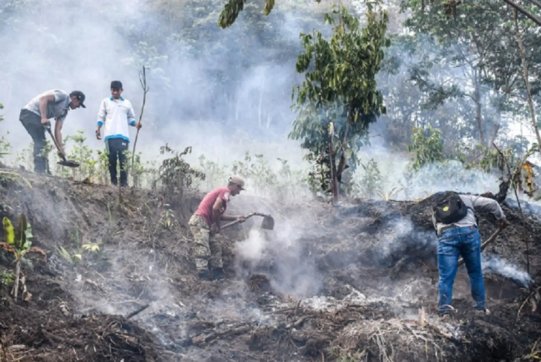 Más de 100 brigadistas y bomberos, así como policías, soldados, personal de la Oficina de Gestión de Riesgos de Desastres y pobladores de Pichari y Kimbiri han logrado controlar en un 90% el incendio forestal que se registra en la comunidad de Lobo Tawantinsuyo, ubicada en el distrito de Manitea, provincia cusqueña de La Convención.