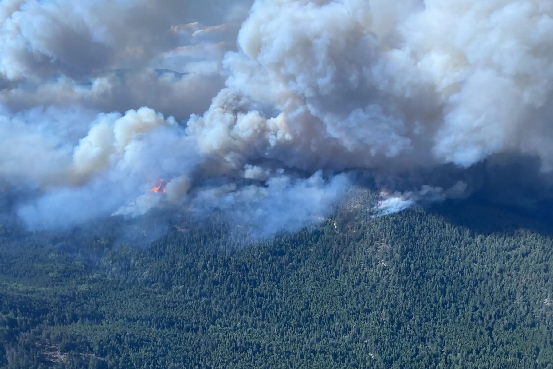 Esta imagen aérea del 17 de agosto de 2023 del Servicio de Incendios Forestales de Columbia Británica muestra el humo del incendio forestal de McDougall Creek, aproximadamente a 10 km (6,2 millas) al noroeste de West Kelowna. Esta temporada, los megaincendios se han extendido por todo Canadá con una intensidad notable, obligando a 168.000 personas a huir de sus hogares y quemando 13,5 millones de hectáreas (33,4 millones de acres), casi el doble del área del último registro de 7,3 millones de hectáreas, según Canadian Interagency Forest. Centro de Bomberos. Mientras tanto, en la provincia más occidental de la Columbia Británica, también muy afectada por los incendios forestales, una ola de calor elevó las temperaturas a más de 40 grados centígrados (104 grados Fahrenheit) esta semana.
Foto: AFP