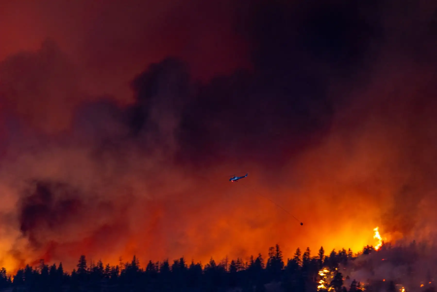 Un helicóptero lucha contra el incendio forestal de McDougall Creek mientras arde en las colinas de West Kelowna, Columbia Británica, Canadá, el 17 de agosto de 2023, visto desde Kelowna. Se emitieron órdenes de evacuación para áreas cercanas a Kelowna, ya que el fuego amenazaba a la ciudad de alrededor de 150.000 habitantes. Canadá está experimentando una temporada récord de incendios forestales, con estimaciones oficiales de más de 13,7 millones de hectáreas (33,9 millones de acres) ya quemadas. Cuatro personas han muerto hasta el momento.
Foto: AFP