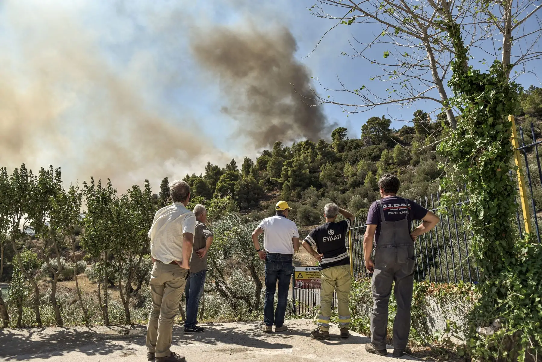 Los residentes locales observan un incendio forestal que se acerca al pueblo de Prodromos, 100 km al noreste de Atenas. Foto:ANDINA/AFP