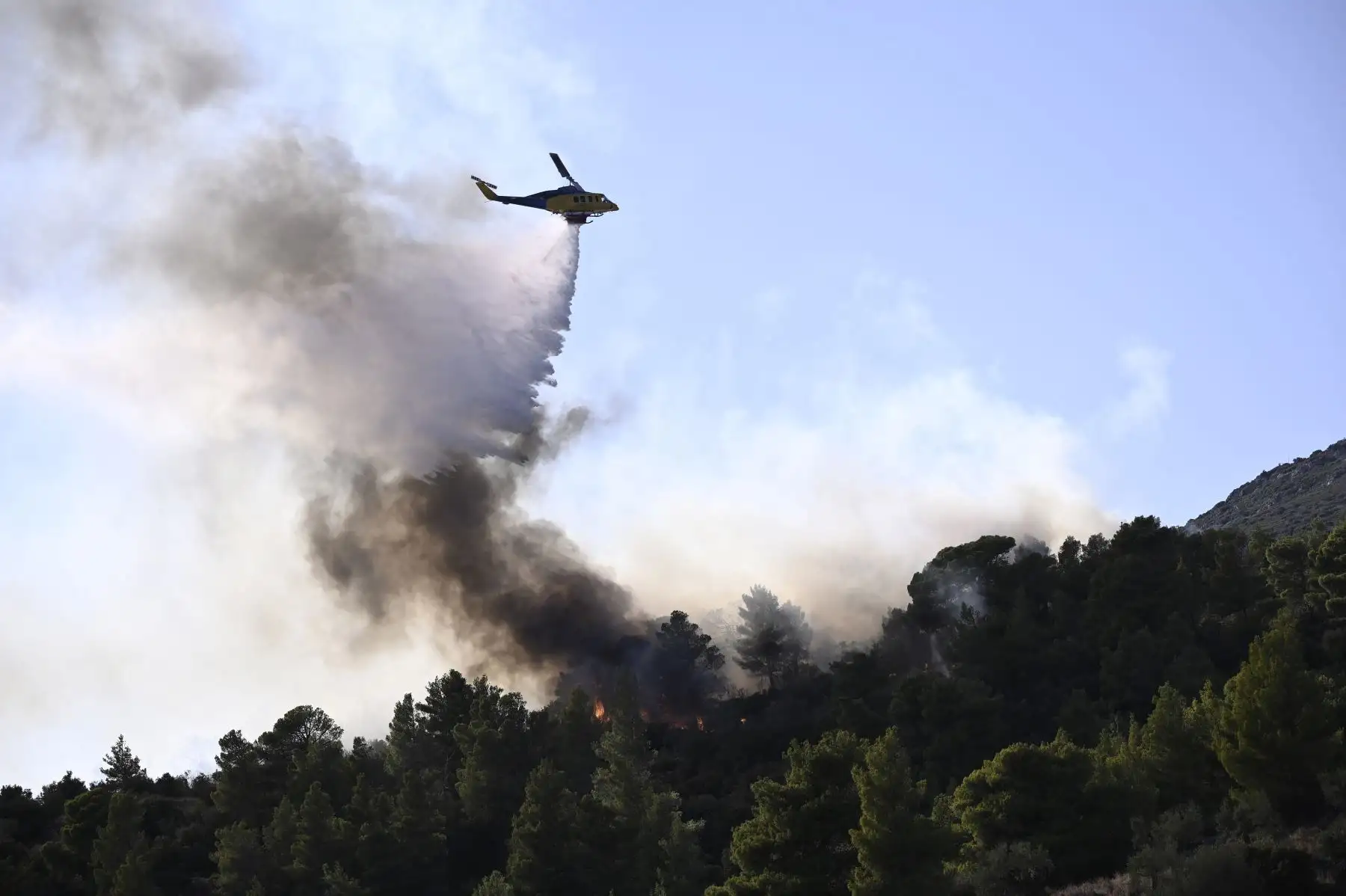 Un helicóptero de extinción de incendios arroja agua sobre un incendio forestal cerca de Prodromos, 100 km al noreste de Atenas. Foto:ANDINA/AFP