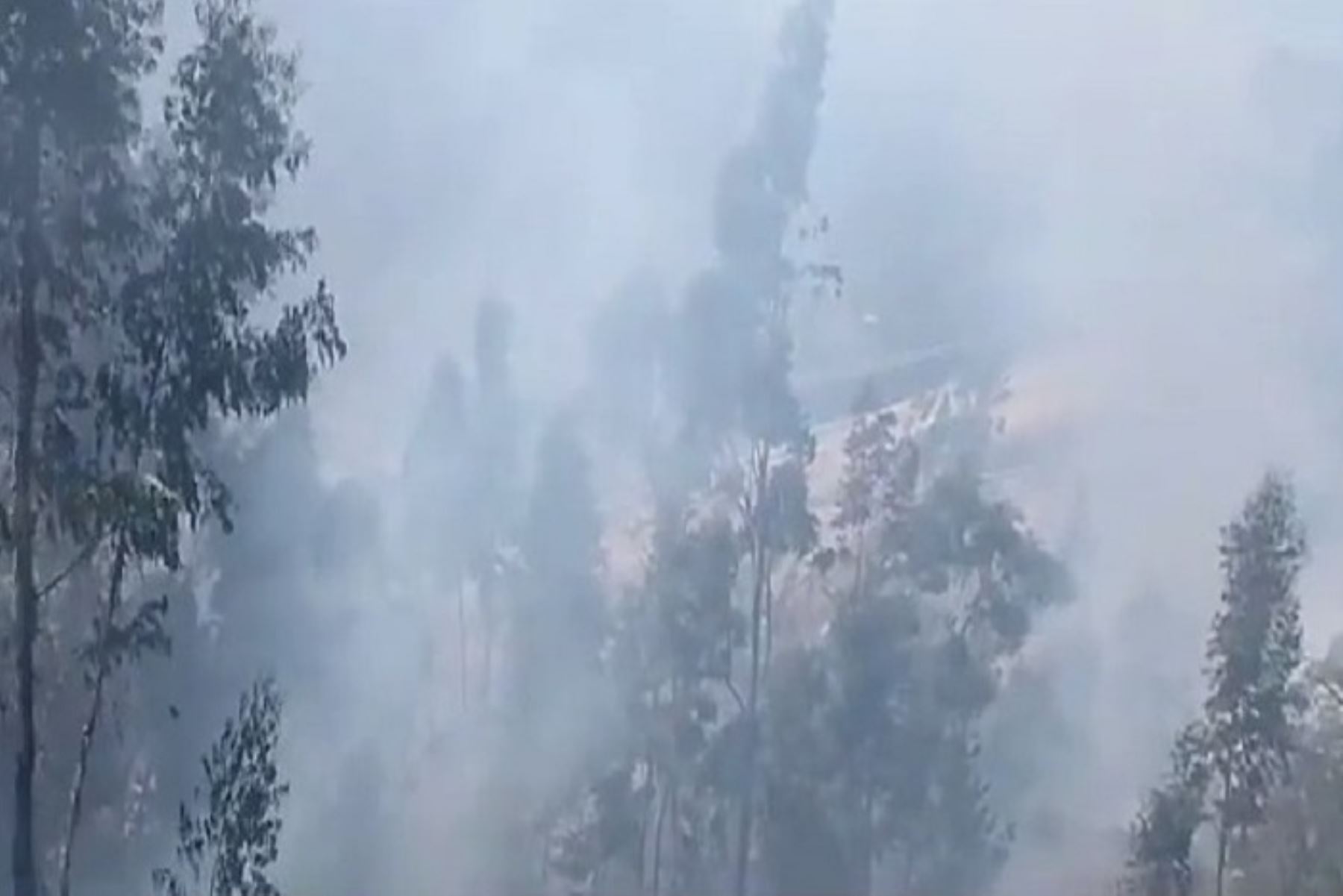 En los últimos días se han producido en Pasco cuatro incendios forestales sumados al de Huancabamba.
