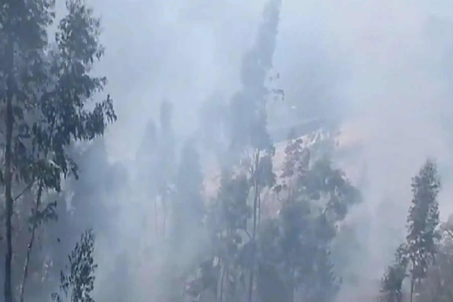 En los últimos días se han producido en Pasco cuatro incendios forestales sumados al de Huancabamba.
