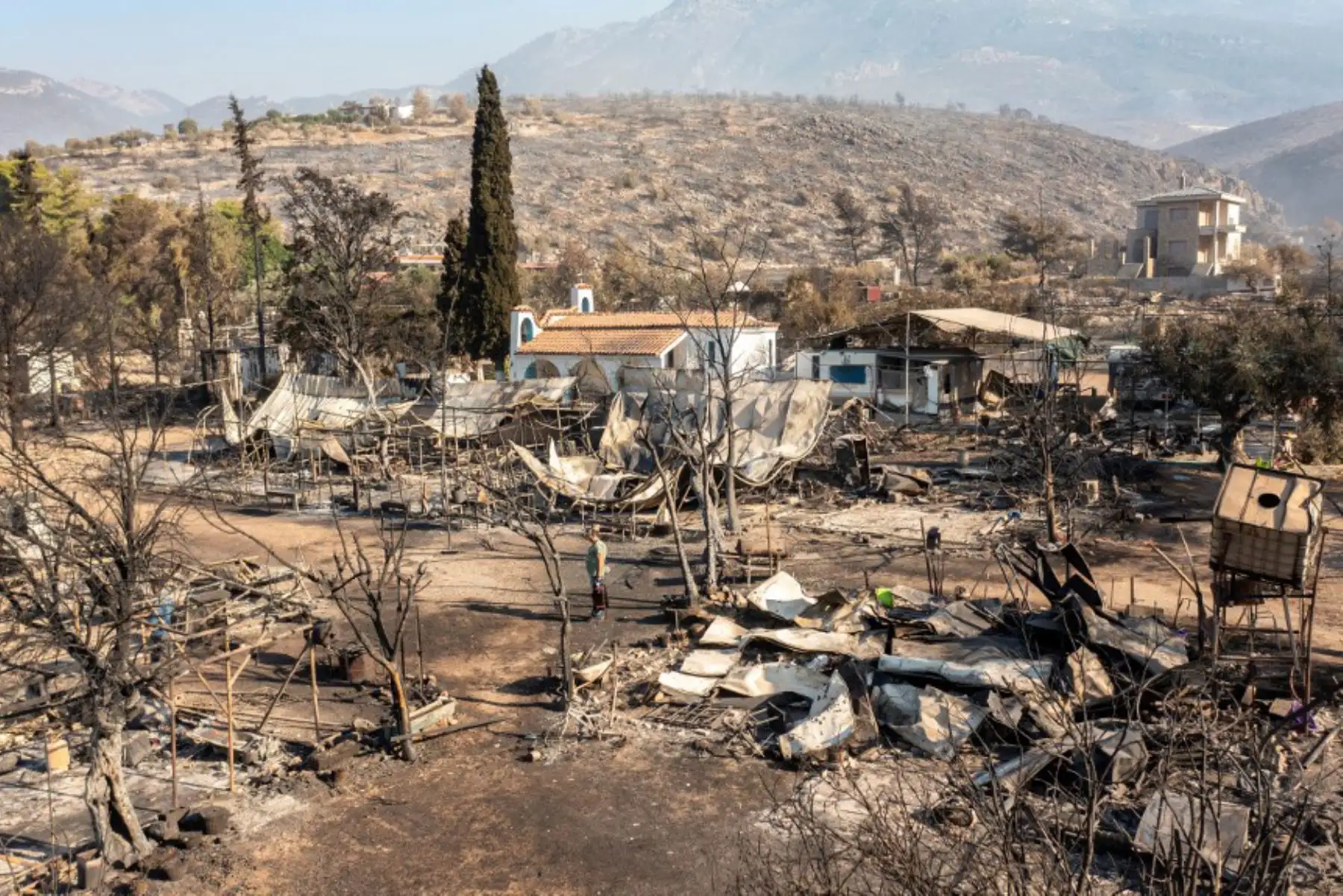 Esta fotografía muestra árboles quemados luego de un incendio forestal en Avanta, cerca de Alexandroupoli, en el norte de Grecia. Foto: AFP