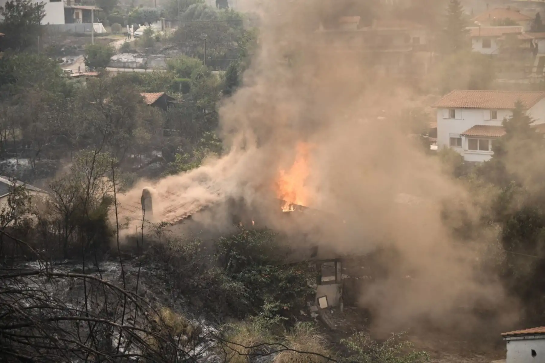 Dieciocho presuntos inmigrantes fueron encontrados muertos en un incendio forestal en Grecia cerca de la frontera turca mientras decenas de bomberos luchaban para contener la segunda ola mortal de incendios que azota el país en un mes. Foto: AFP