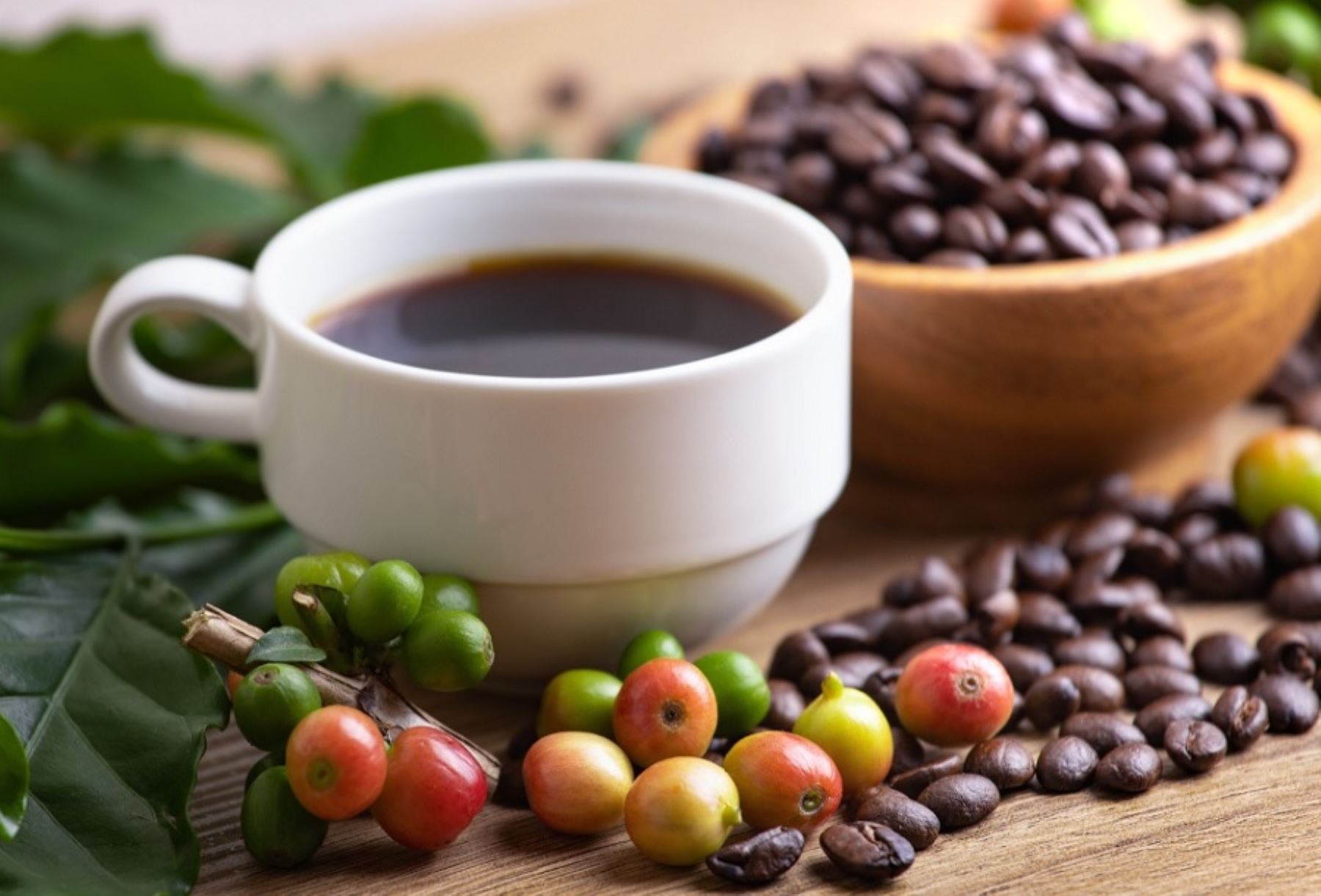 El café es uno de los principales productos de agroexportación del Perú. ANDINA/Difusión