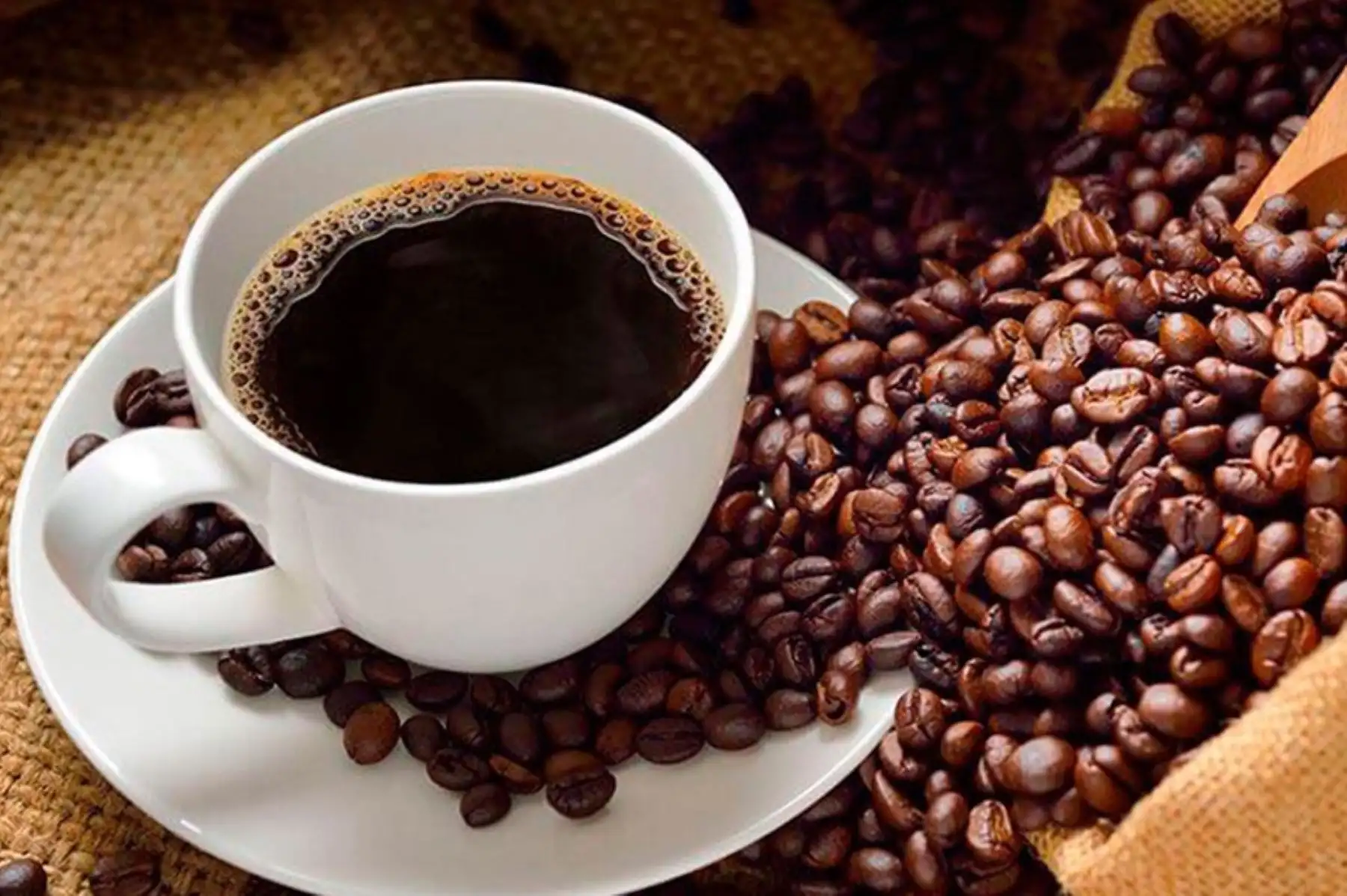 “Cuando ingerimos mayor cantidad de glucosa, el café hace que la insulina trabaje mejor. Lo mismo ocurre con el metabolismo de los lípidos, hace que exista menor cantidad de colesterol LDL, que daña las arterias”.