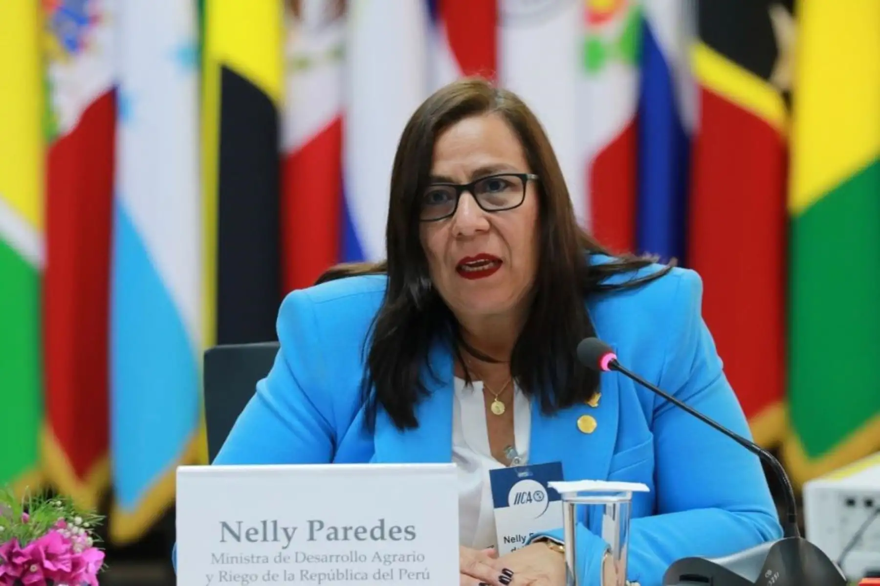 Ministra de Desarrollo Agrario y Riego, Nelly Paredes, en el  IV Foro de Ministras, Viceministras y Altas Funcionarias de las Américas del Instituto Interamericano de Cooperación para la Agricultura (IICA) en San José, Costa Rica. Foto: Cortesía.