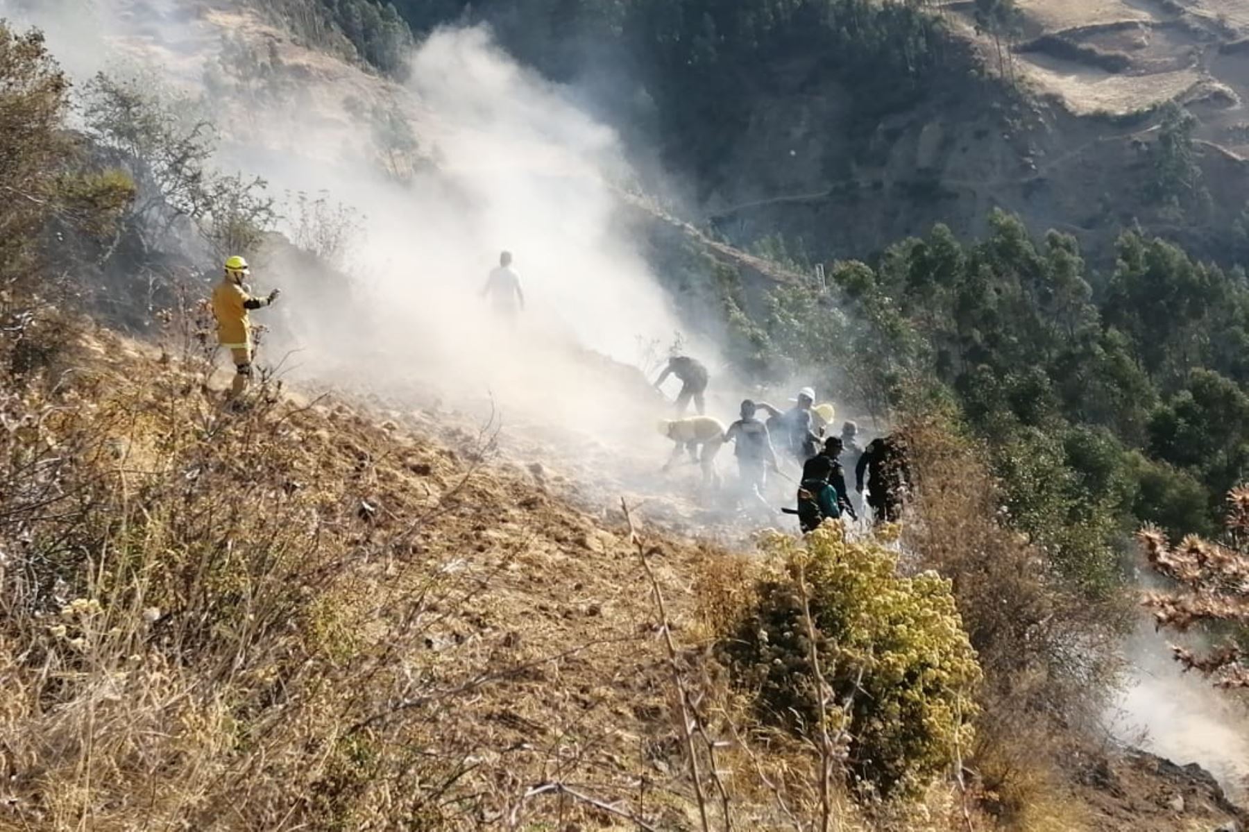 ANDINA/Difusión.Incendio forestal en Ihhuyallo: plantean sanciones para autores de siniestros