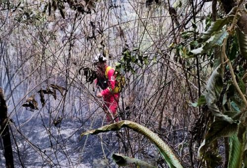 Las autoridades locales continúan con la Evaluación de Daños y Análisis de Necesidades (EDAN). ANDINA/Difusión