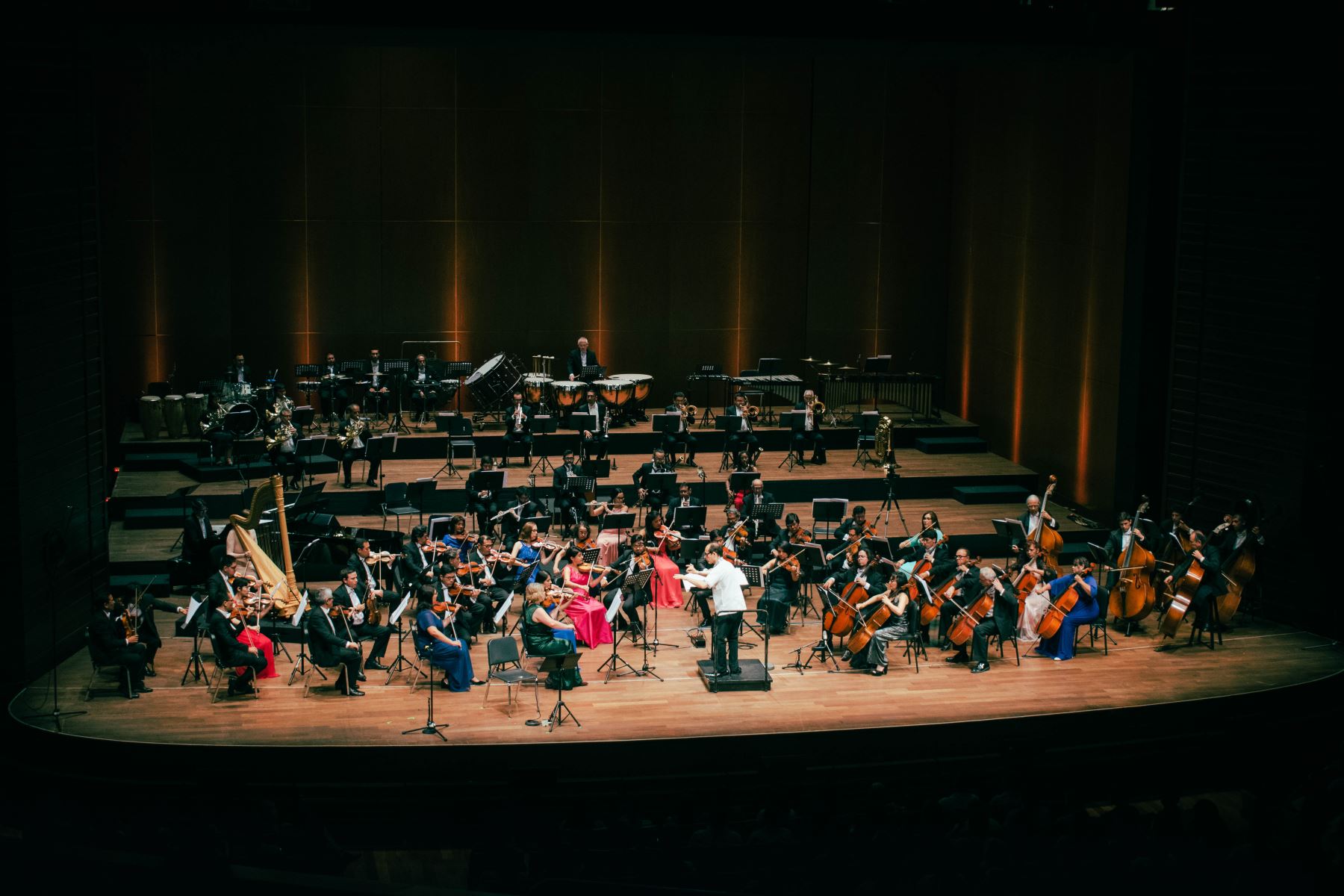 Orquesta Sinfónica Nacional del Perú con “Tchaikovsky: Francesca da Rímini”.
