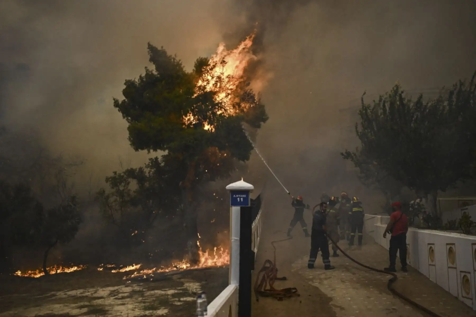 Un incendio sigue devorando las laderas del monte Parnitha, uno de los cuatro que rodean la capital griega y que alberga un parque nacional. Foto: AFP