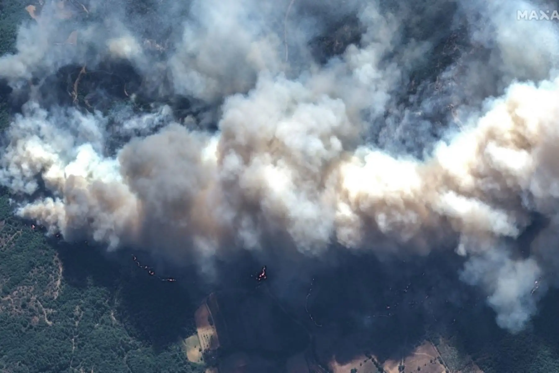 En los cinco últimos días, los bomberos griegos han tenido que hacer frente a 350 fuegos, de los cuales 200 se declararon en las últimas 48 horas. Foto: AFP