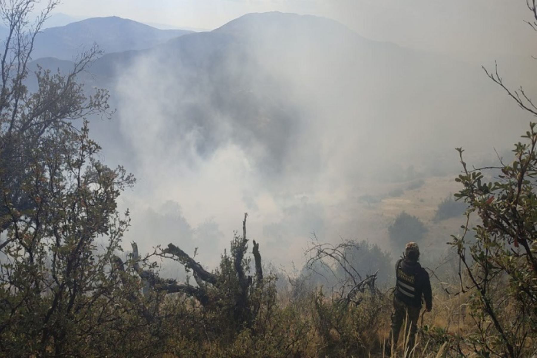 A las labores para sofocar el fuego en dos provincias de la región Ayacucho se sumaron brigadistas, moradores y autoridades.