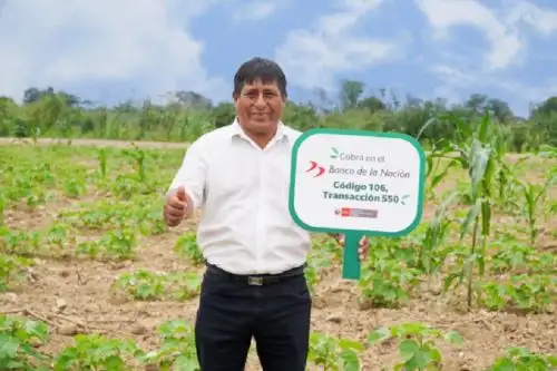 El Ministerio de Desarrollo Agrario y Riego  informó que a la fecha ya han cobrado 27,002 pequeños productoras y productores del campo en las regiones de Amazonas, Loreto, Madre de Dios, San Martín y Ucayali, equivalente a S/ 31.5 millones, lo que representa un avance financiero de 97%.