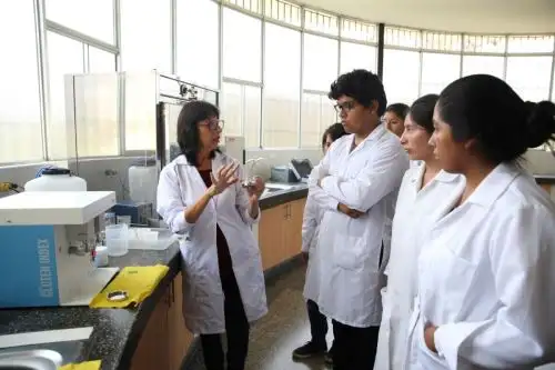 Más de 23 mil docentes ordinarios de las universidades públicas recibirán un segundo incremento salarial a partir de este mes de agosto, según lo establece el Decreto Supremo N° 183-2023-EF. Foto: Difusión