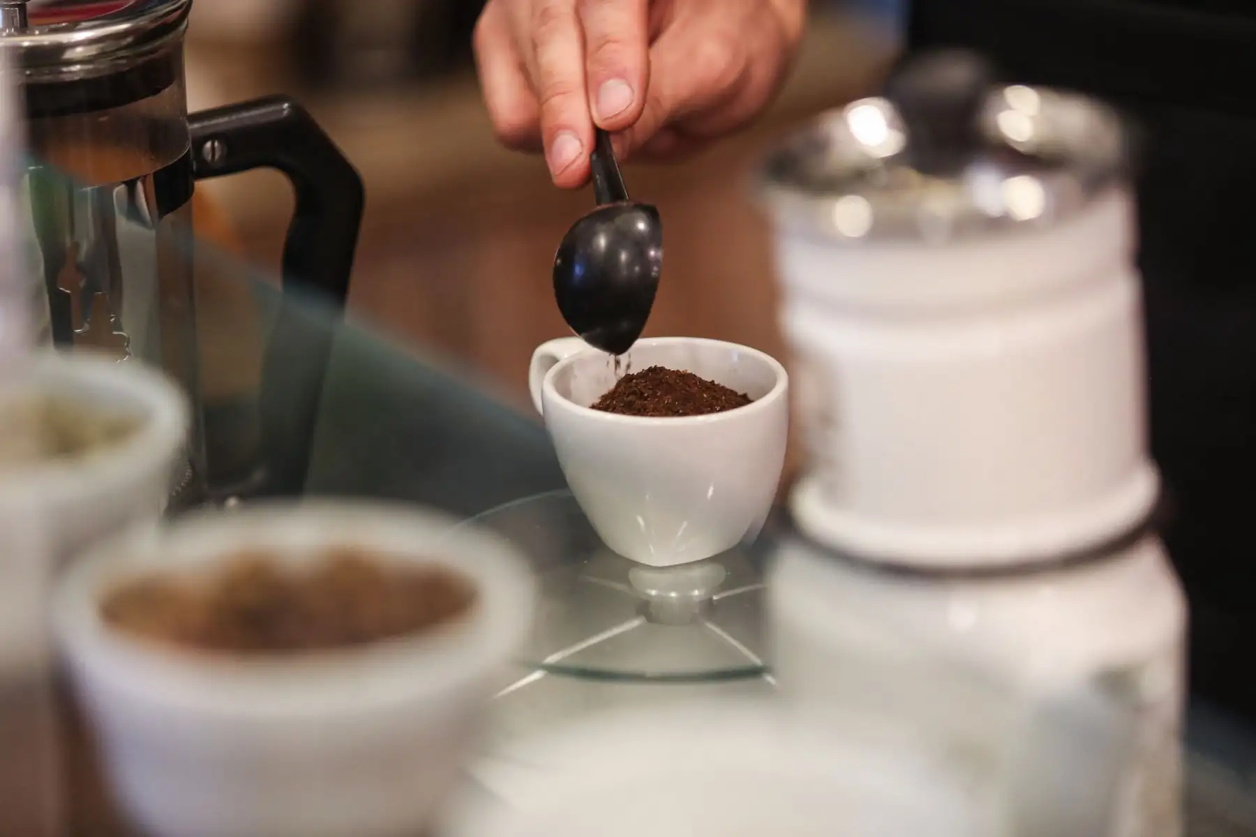 El Perú está en el top 10 de productores mundiales de café arábiga, representamos el 4% de la producción mundial,con un total del 3.6 millones de sacos de 60 kgs (216 mil toneladas) en la campaña 22/23 Foto: ANDINA/Ricardo Cuba