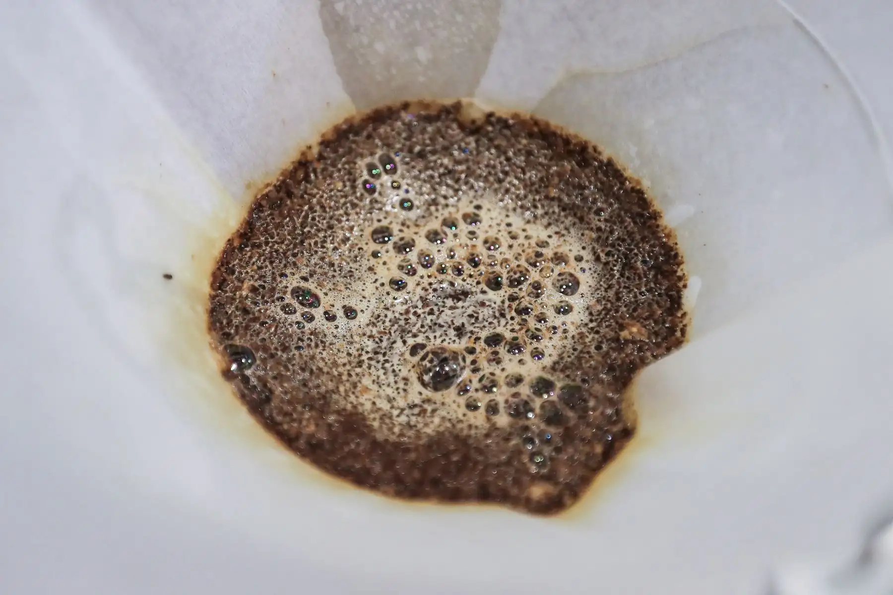 El Perú está en el top 10 de productores mundiales de café arábiga, representamos el 4% de la producción mundial,con un total del 3.6 millones de sacos de 60 kgs (216 mil toneladas) en la campaña 22/23 Foto: ANDINA/Ricardo Cuba