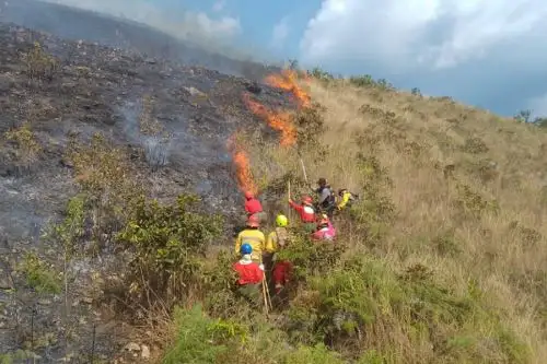 El Ministerio del Ambiente informó que, desde enero hasta julio de este año, suman 1,078 los incendios forestales registrados en el territorio nacional, siendo las regiones Apurímac, Huancavelica, Ayacucho y Cajamarca las que  cuentan con más del 70 % de sus territorios comprometidos con este tipo de emergencia. ANDINA/Difusión