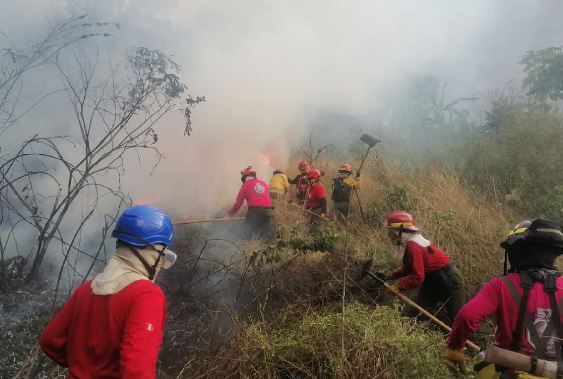 Brigadas de bomberos y efectivos del Ejercito del Perú, con apoyo de las autoridades locales, lograron controlar el incendio forestal iniciado el 21 de agosto en el centro poblado San Martín, ubicado en el distrito de Yanatile, provincia de Calca, región Cusco. ANDINA/Difusión