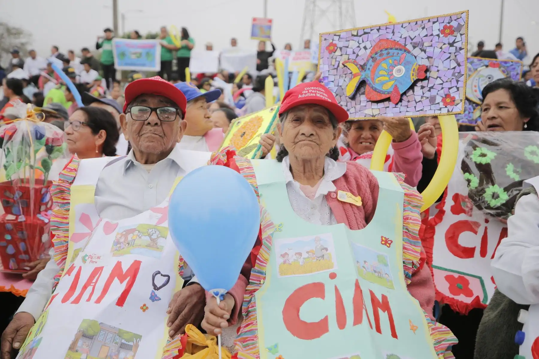Ministra de la Mujer y Poblaciones Vulnerables, Nancy Tolentino, participa en feria por el Día Nacional de las Personas Adultas Mayores y en la firma de compromiso del Modo Niñez con la Municipalidad de San Antonio - Huarochirí.
Foto: MIMP