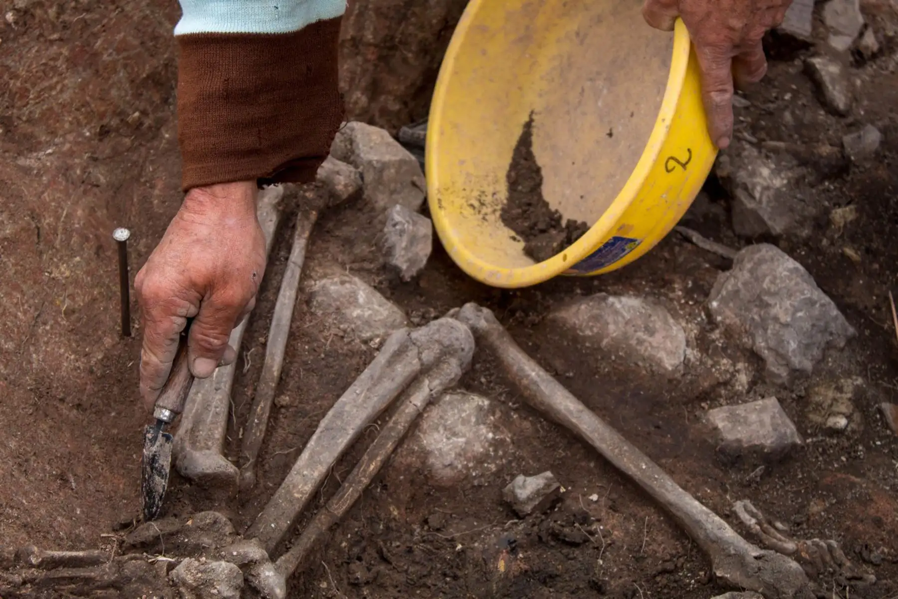 El Ministerio de Cultura informa que, en el marco del Proyecto Arqueológico Pacopampa – temporada 2023, se realizó un importante hallazgo arqueológico, en la provincia de Chota, en Cajamarca.  Se trata de “La tumba del Sacerdote de 3000 años antes del presente”.
Foto: Mincul
