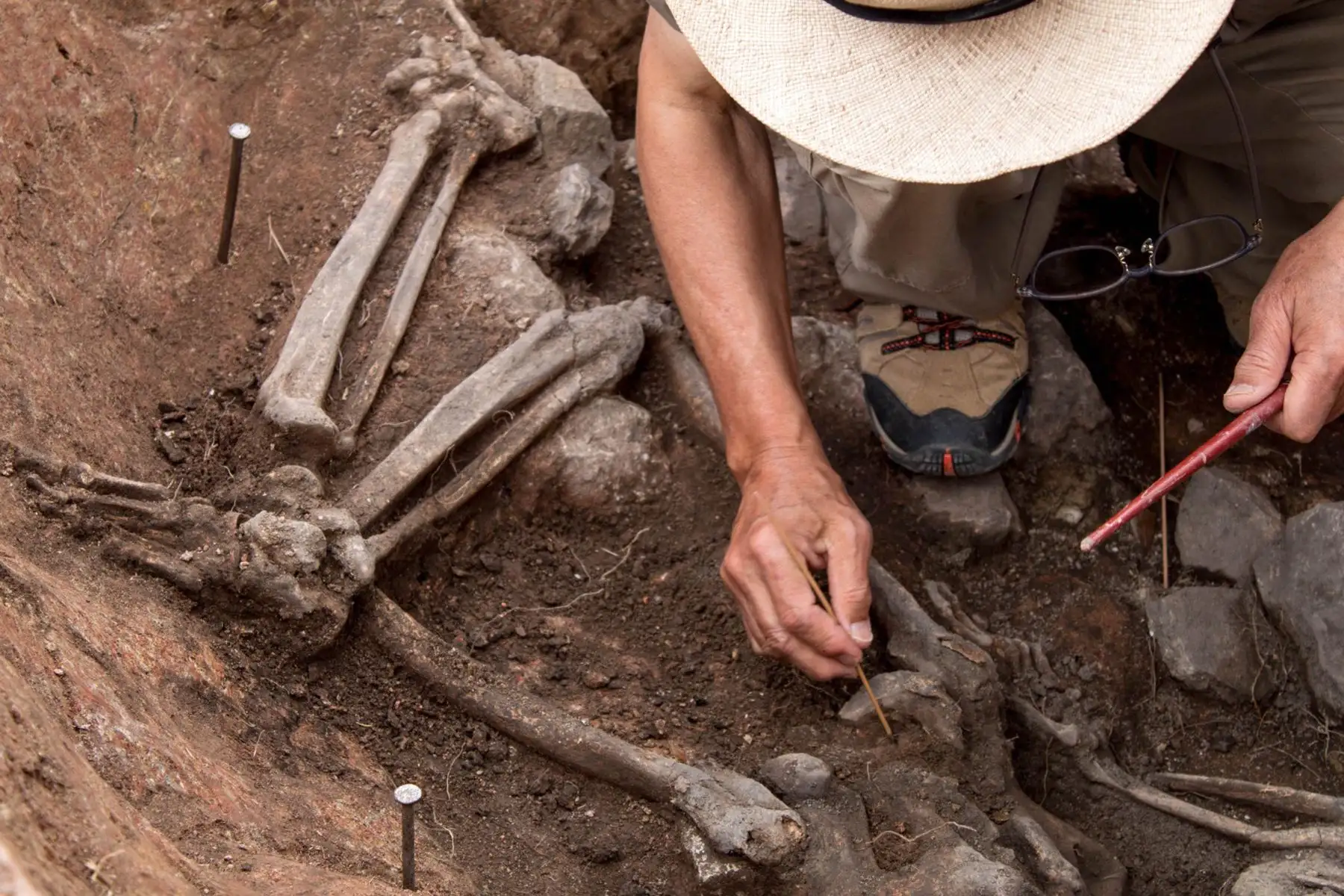 Este individuo fue encontrado en su contexto funerario, durante las labores de investigación iniciadas el 25 de julio del 2023, con el fin de entender el contexto y asociaciones de la “Tumba del Sacerdote de los Pututus”, hallada en la temporada 2022.
Foto: Mincul
