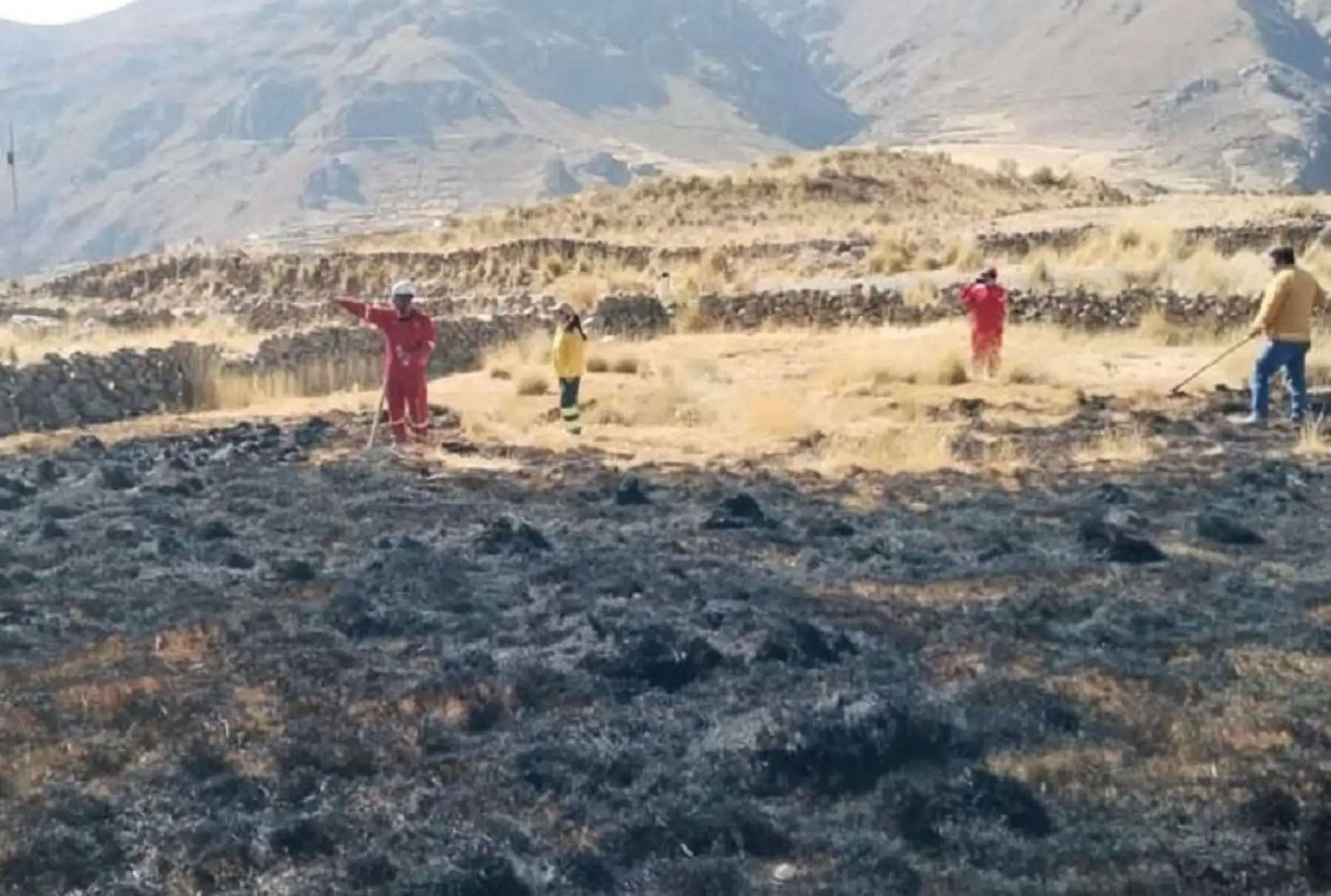 El incendio forestal registrado en el distrito de Tingo, en la región Amazonas, fue extinguido por brigadistas. Foto: ANDINA/Archivo