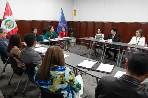 Los equipos técnicos y jurídicos de Sunedu, Minedu, INPE y Minjusdh trabajaron arduamente para establecer las bases normativas que regirán la implementación de programas de educación superior especiales para los internos de los penales. ANDINA/ Minedu.