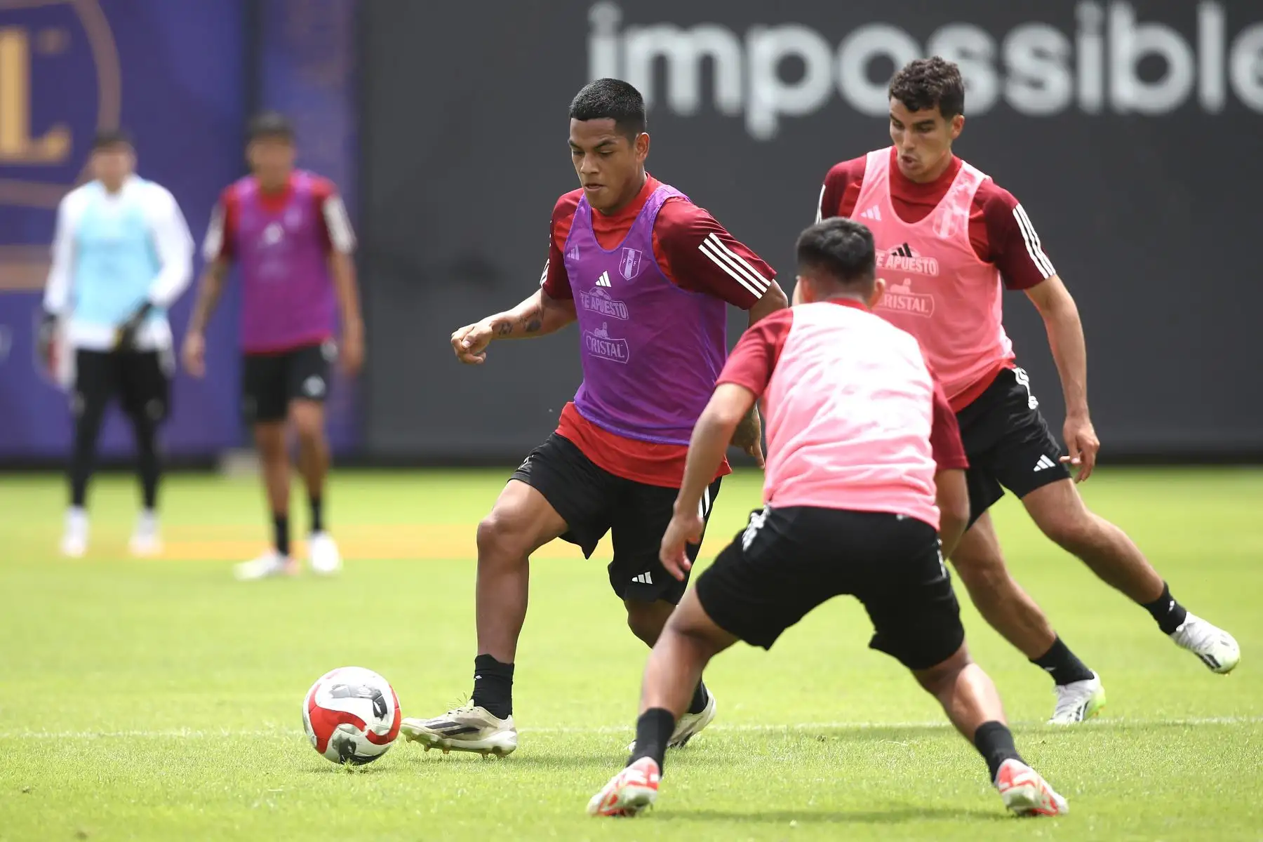 La selección peruana cumplió  su segundo día de entrenamientos a cargo del entrenador Juan Reynoso de cara a la fecha doble de las Eliminatorias rumbo al Mundial Estados Unidos, México y Canadá 2026, donde enfrentarán a Paraguay y Brasil, el 7 y 12 de setiembre en Ciudad del Este y Lima. En la imagen, el jugador Joao Grimaldo.
Foto: FPF
