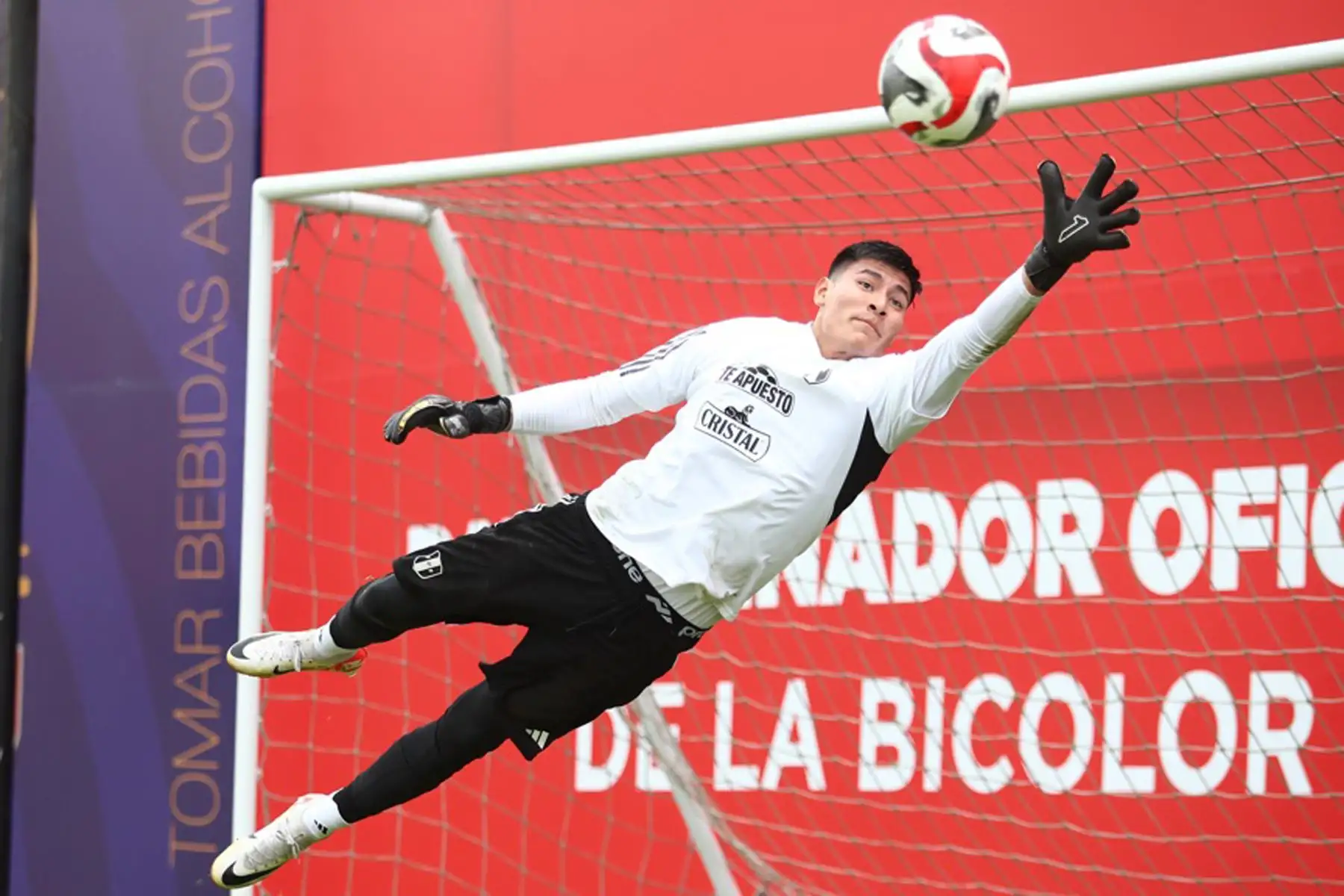 La selección peruana cumplió  su segundo día de entrenamientos a cargo del entrenador Juan Reynoso de cara a la fecha doble de las Eliminatorias rumbo al Mundial Estados Unidos, México y Canadá 2026, donde enfrentarán a Paraguay y Brasil, el 7 y 12 de setiembre en Ciudad del Este y Lima. En la imagen, el arquero Diego Romero.
Foto: FPF