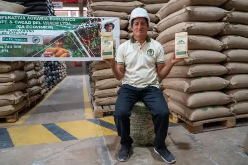 Café orgánico producido en el Vraem será disfrutado en las mesas de Toronto, Canadá. Foto: ANDINA/Devida