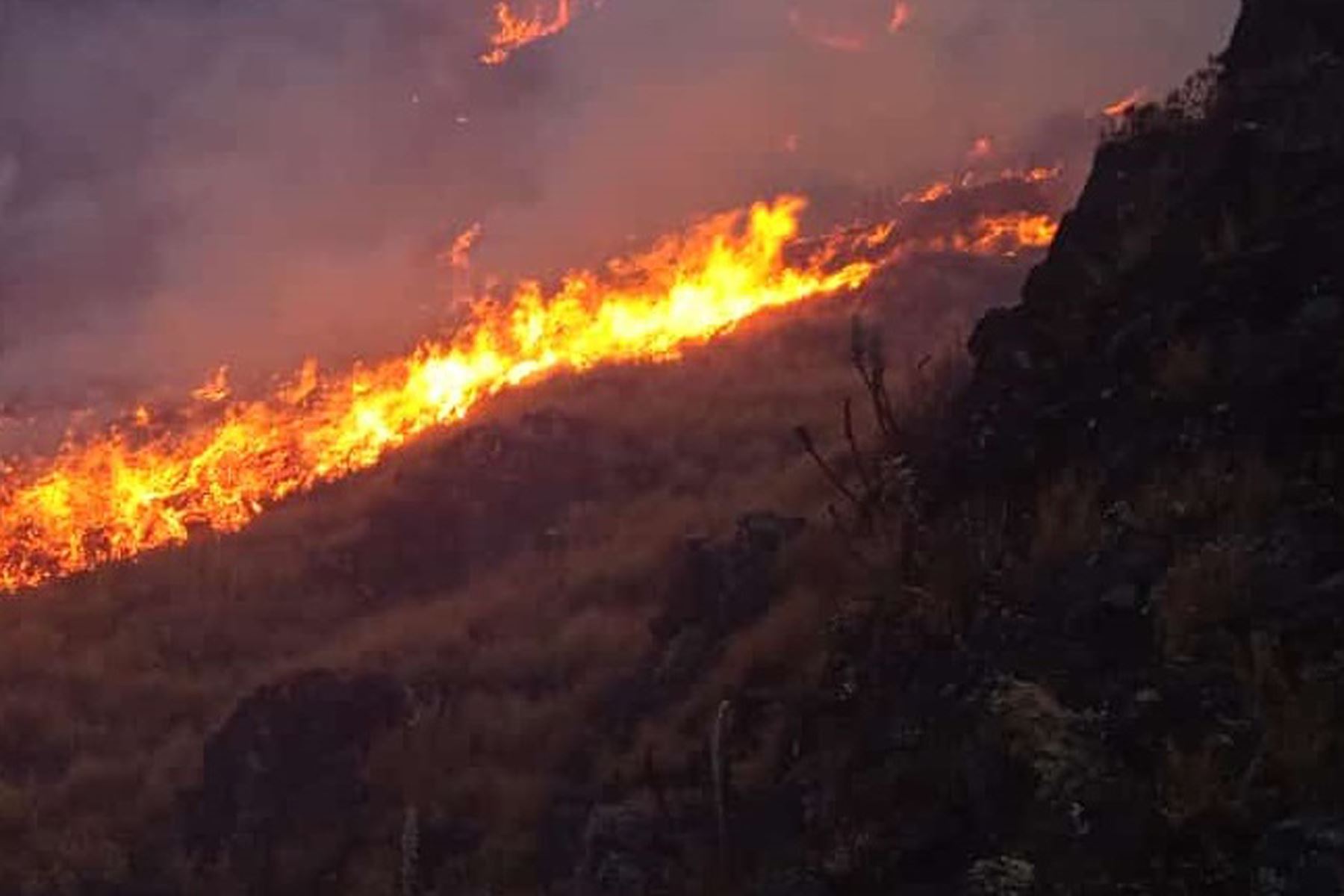 Después de más de 24 horas de intensas labores de sofocación se pudo controlar el siniestro en Llugulla, región Áncash. Foto: ANDINA/Difusión