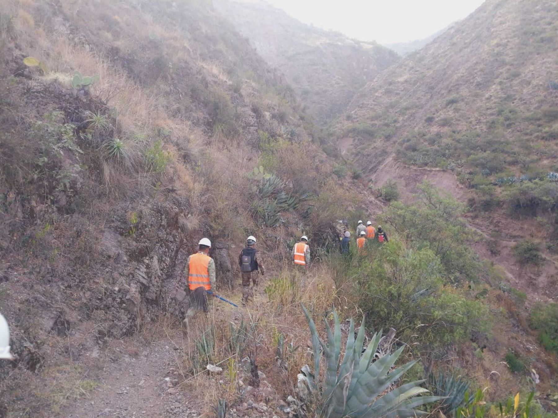 Brigadas conformadas por miembros del Ejército, Policía Nacional, Bomberos y de otros sectores lograron sofocar incendio forestal en la provincia de Vilcas Huamán, en Ayacucho. ANDINA/Difusión