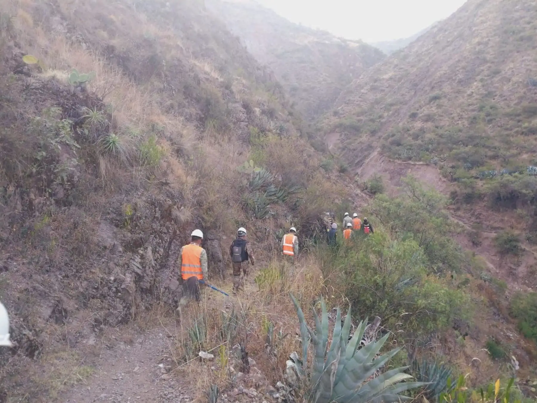 Brigadas conformadas por miembros del Ejército, Policía Nacional, Bomberos y de otros sectores lograron sofocar incendio forestal en la provincia de Vilcas Huamán, en Ayacucho. ANDINA/Difusión