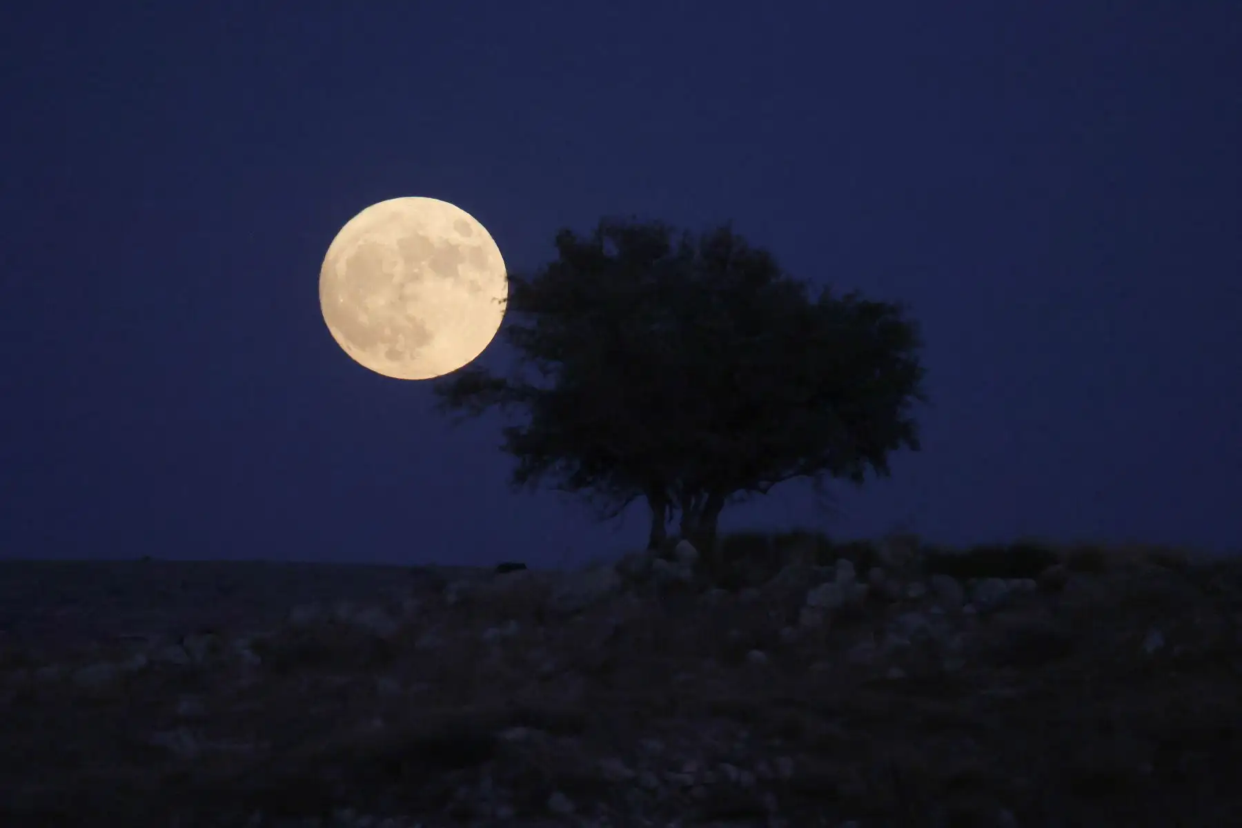 Una fotografía tomada desde la ciudad israelí de Rosh Haain muestra la 