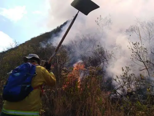 Los incendios forestales afectan 800 hectáreas de pastos naturales en el ámbito del Parque Nacional Huascarán, en Áncash. ANDINA/Difusión