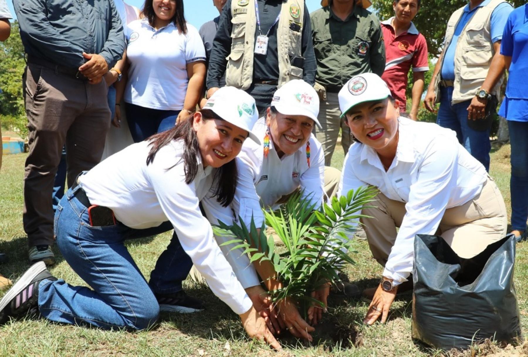 El acto de lanzamiento de la Gran Cruzada Verde Nacional se realizó en la provincia de Coronel Portillo, en la región Ucayali, y fue presidido por la ministra del Ambiente, Albina Ruiz.