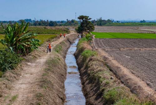 El Gobierno Regional de Junín mejorará el servicio de agua para riego con el fin de impulsar el desarrollo agrícola. Foto: ANDINA/Difusión