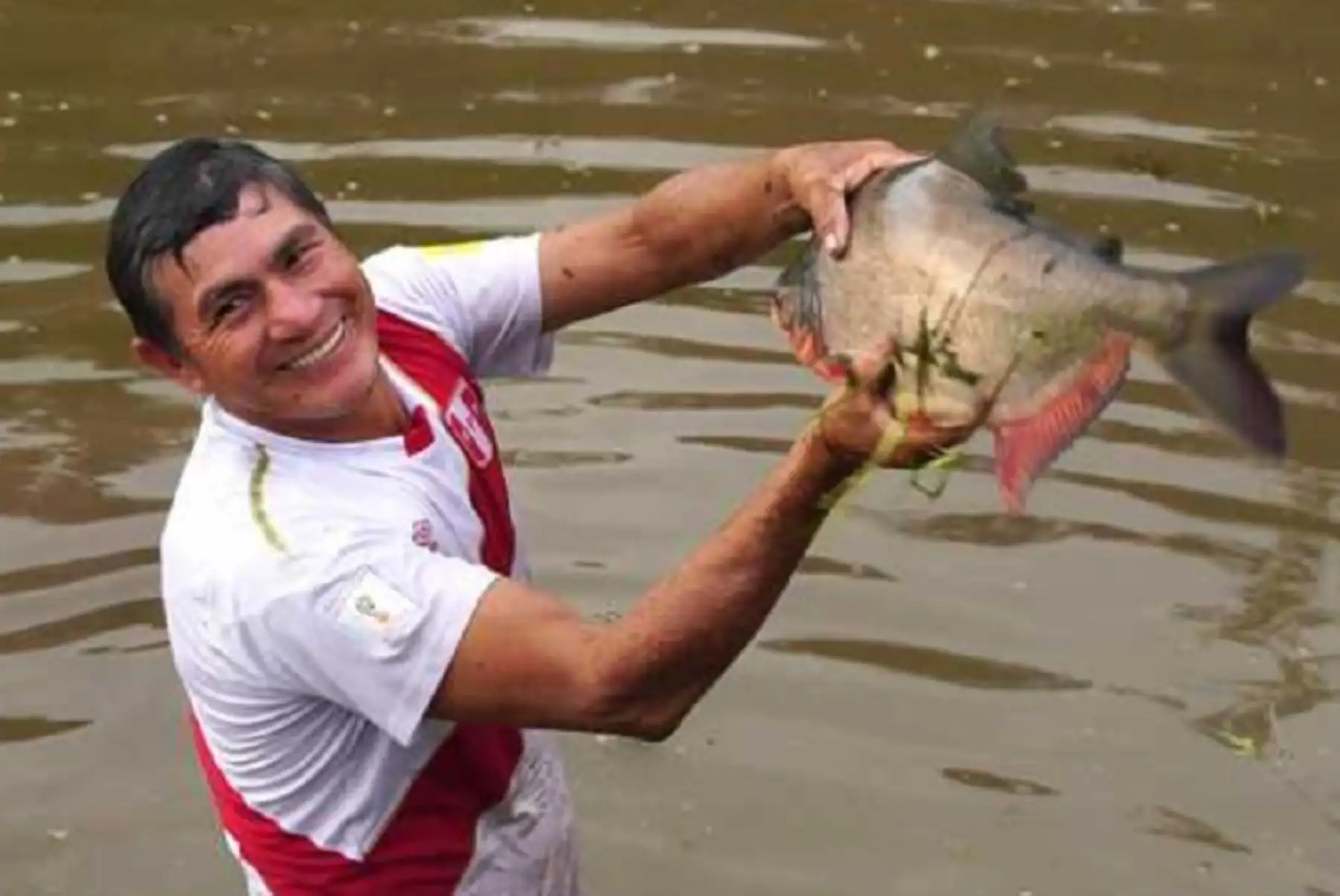 El Programa Nacional de Innovación en Pesca y Acuicultura (PNIPA), del Ministerio de la Producción, ha fomentado el desarrollo de 73 subproyectos que, mediante el uso de tecnología, implementan buenas prácticas acuícolas, 
asistencia técnica, infraestructura, capacitaciones, cursos, y talleres, entre otros, para aminorar este valor y generar un incremento en las ganancias de las comunidades beneficiadas.