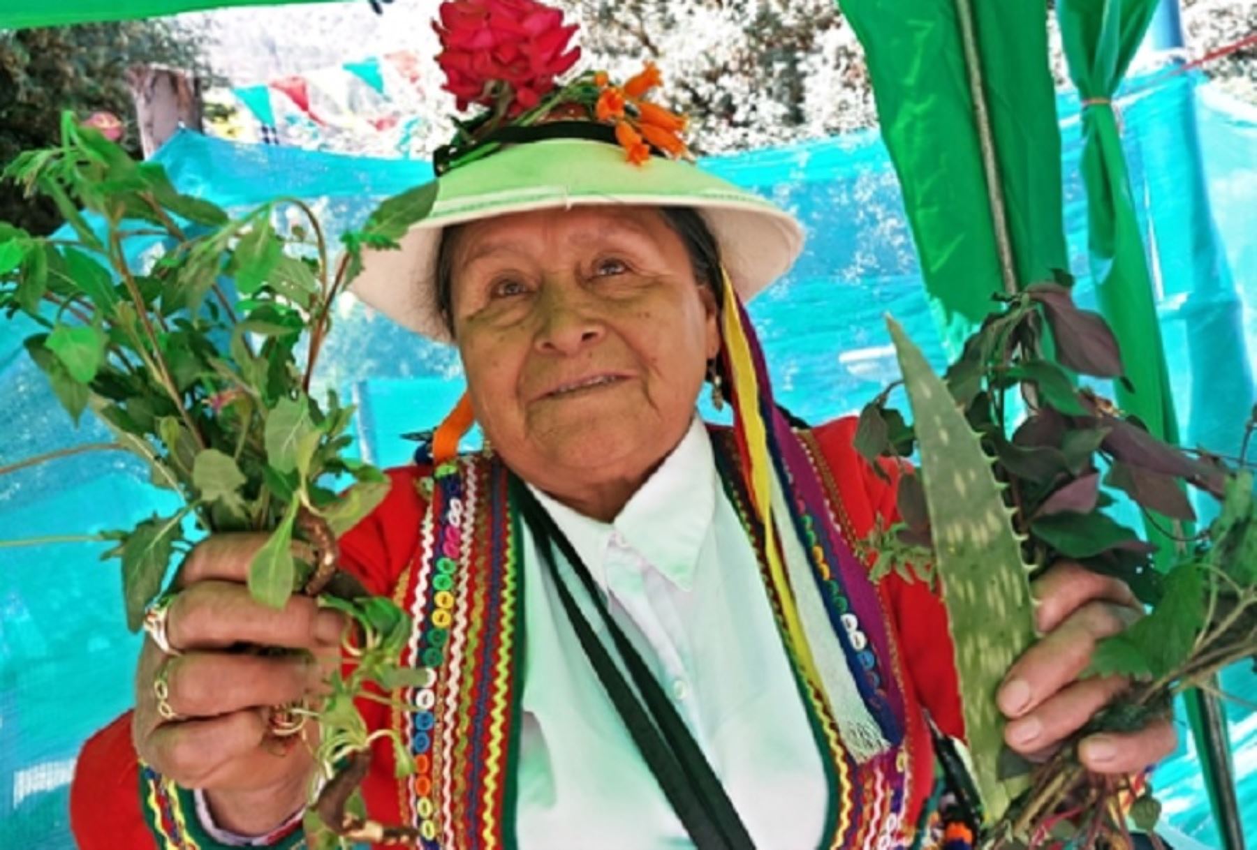 A sus 77 años recién cumplidos, doña Rosa continúa brindando sus servicios de sanadora herbolaria en su hogar o a domicilio en el distrito de Tambobamba, provincia de Cotabambas, departamento de Apurímac.