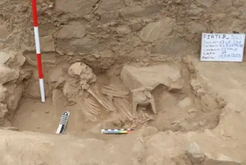 El Ministerio de Cultura anunció que el Proyecto de Investigación Arqueológica (PIA) Terlén-La Bomba, ubicado en la Provincia de San Miguel, departamento de Cajamarca, realizó en su temporada 2023 importantes hallazgos que 
evidencian la presencia Wari en el valle medio del Jequetepeque, a través del culto a los ancestros, con el descubrimiento de un asentamiento de diversidad étnica correspondiente al periodo Horizonte Medio (800-1000 años d.C.).