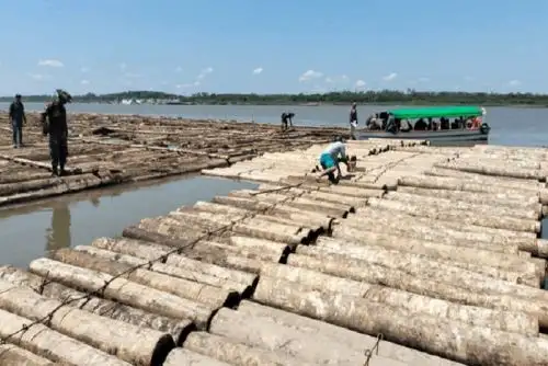 Las trozas maderables fueron inmovilizadas por disposición de un representante del Ministerio Público, conforme al Decreto Legislativo 1220, que establece medidas para la lucha contra la tala ilegal.