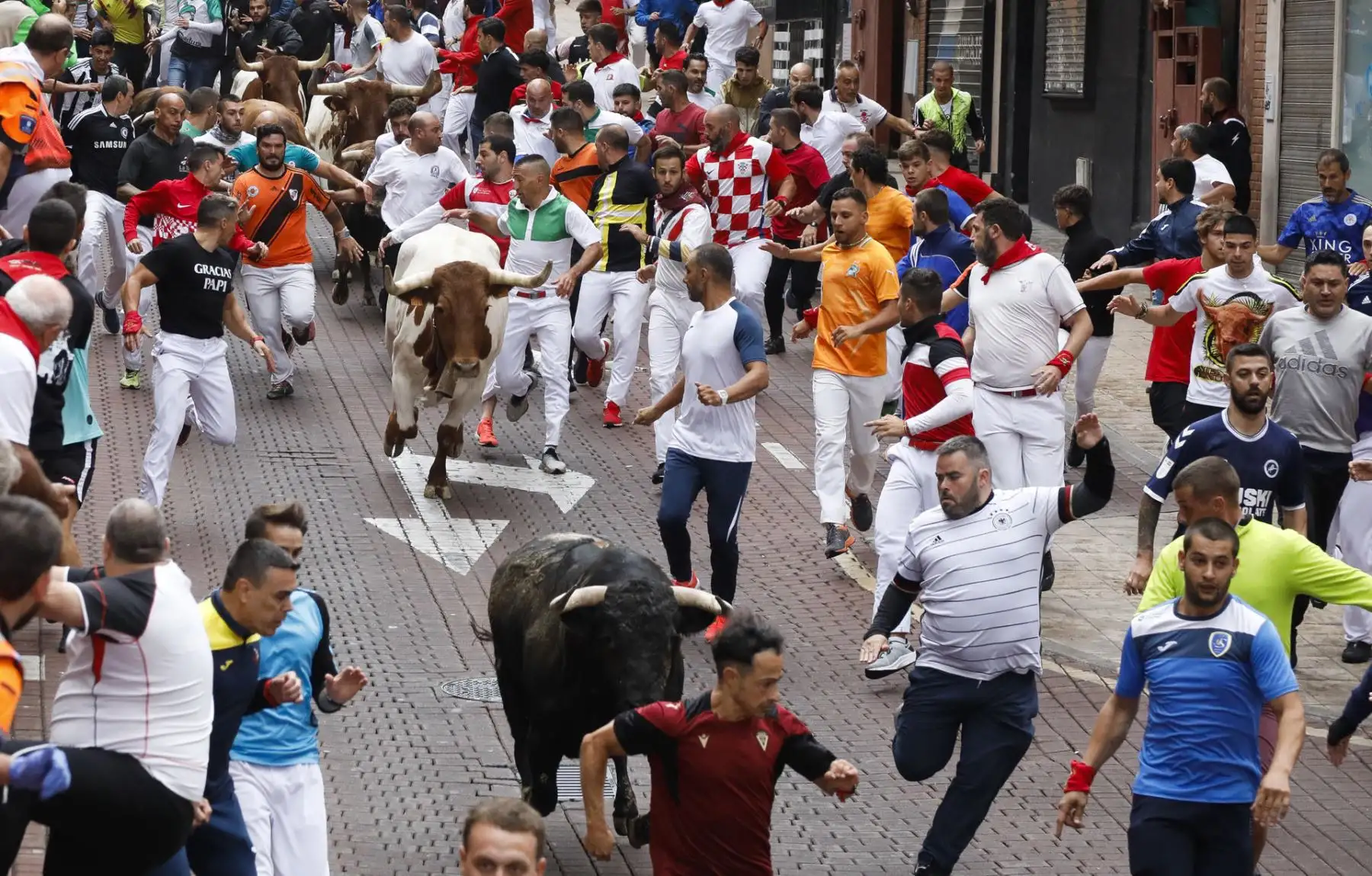 Mozos y toros durante el recorrido del sexto encierro de las fiestas de San Sebastián de los Reyes
Foto: EFE