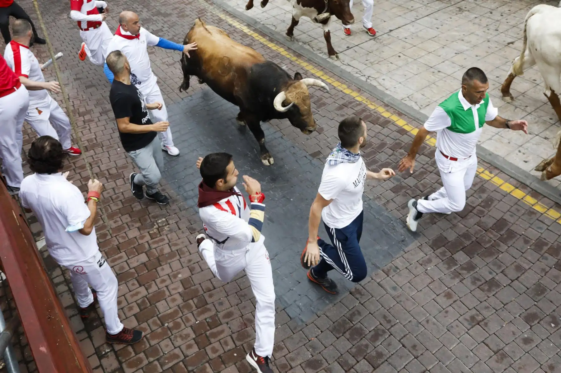 Vista de los mozos y los toros durante el recorrido del séptimo encierro de las fiestas de San Sebastián de los Reyes este domingo
Foto: EFE