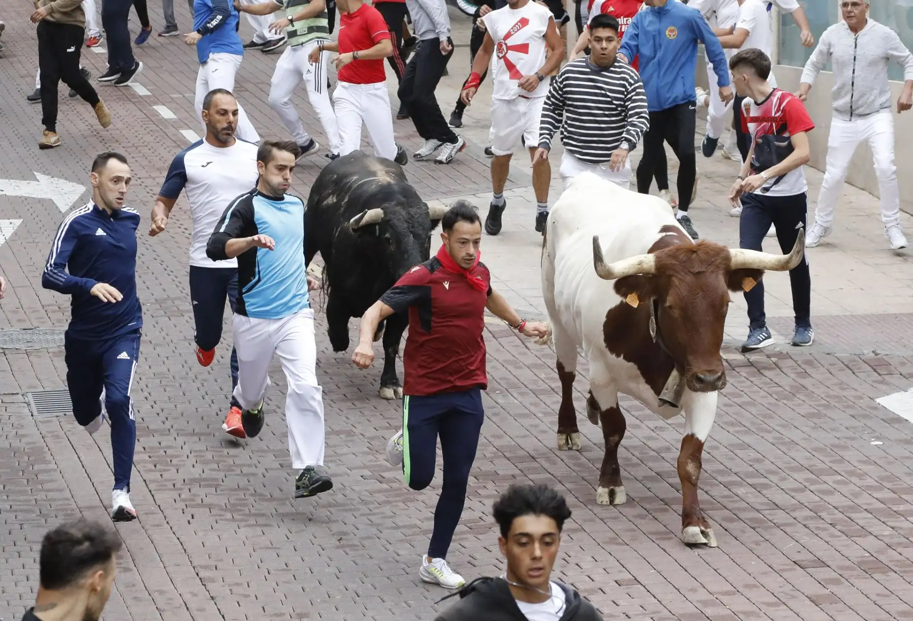 Vista de los mozos y los toros durante el recorrido del séptimo encierro de las fiestas de San Sebastián de los Reyes este domingo
Foto: EFE