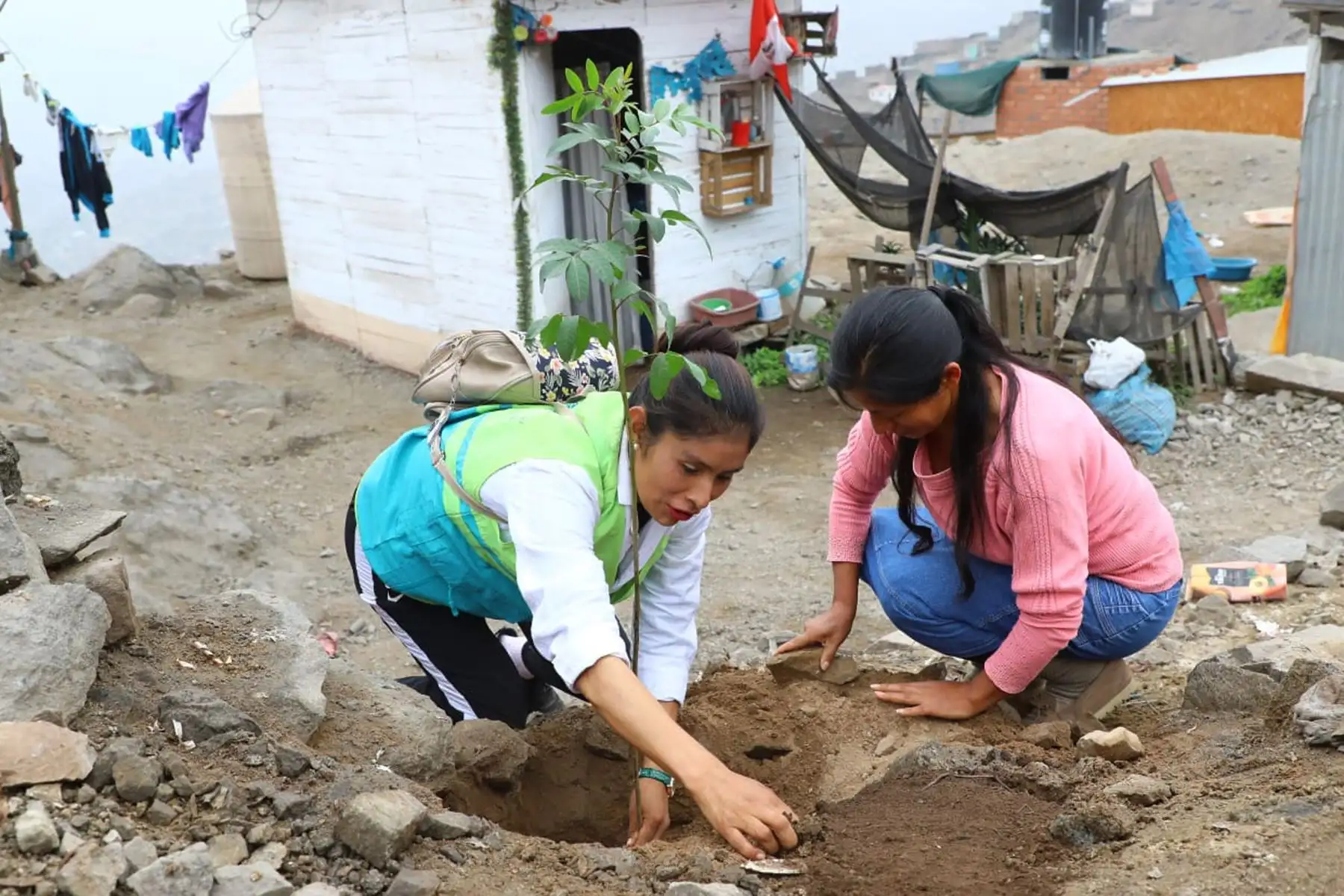 La segunda Gran Cruzada Verde Nacional, que impulsa el Ministerio del Ambiente , continúa su jornada de forestación y/o arborización en diferentes regiones del país, a fin de contribuir a la mejora de la calidad ambiental de las zonas urbanizadas y de promover la participación activa de la ciudadanía en estrecha coordinación con las autoridades.
Foto: Minam