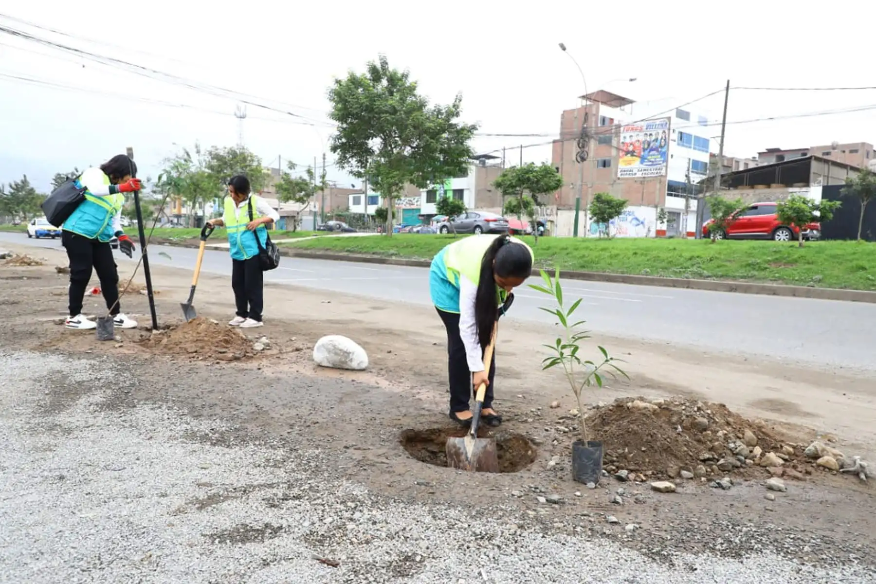 La segunda Gran Cruzada Verde Nacional, que impulsa el Ministerio del Ambiente , continúa su jornada de forestación y/o arborización en diferentes regiones del país, a fin de contribuir a la mejora de la calidad ambiental de las zonas urbanizadas y de promover la participación activa de la ciudadanía en estrecha coordinación con las autoridades.
Foto: Minam